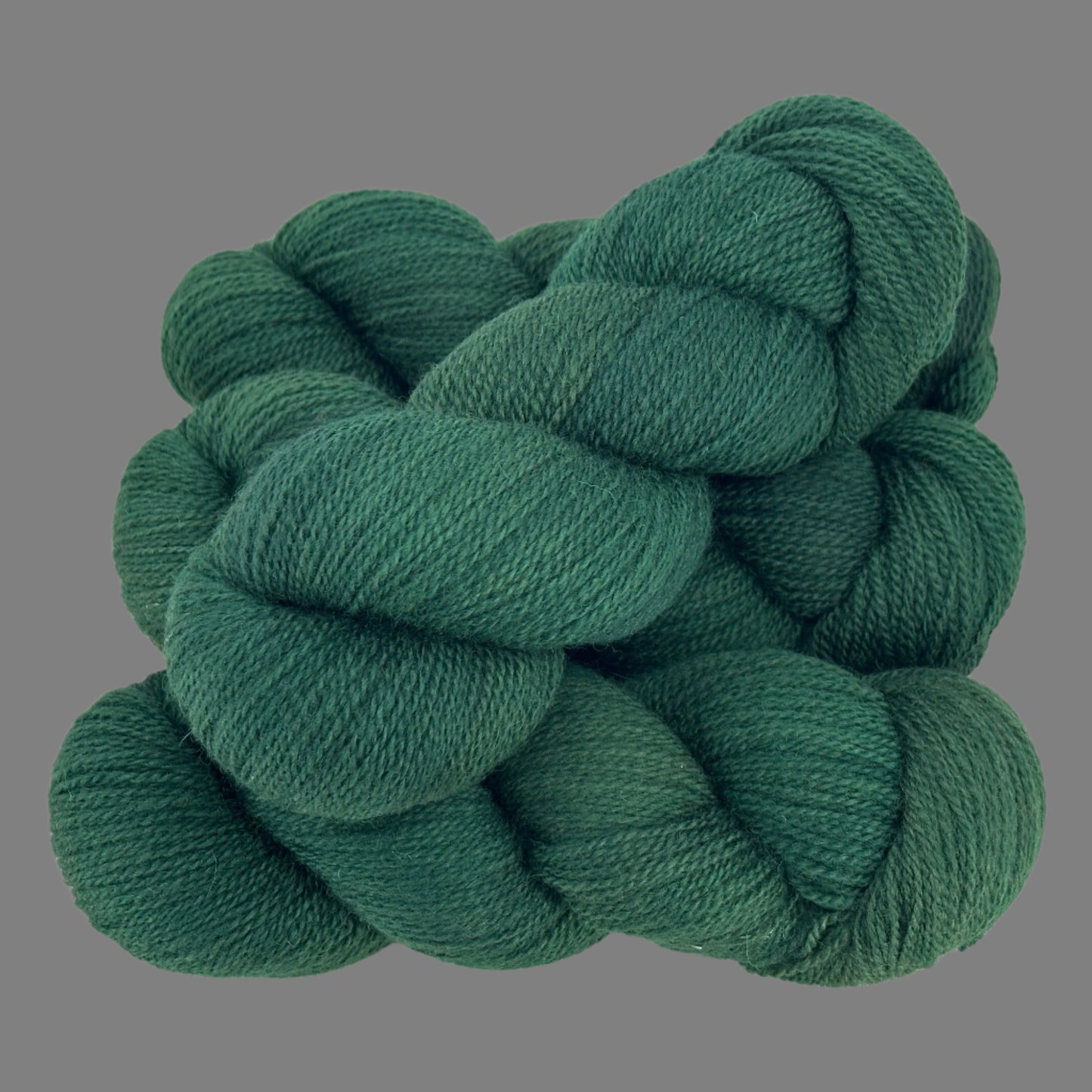 Conifer - Wee Wonder