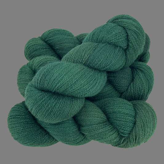 Conifer - Wee Wonder
