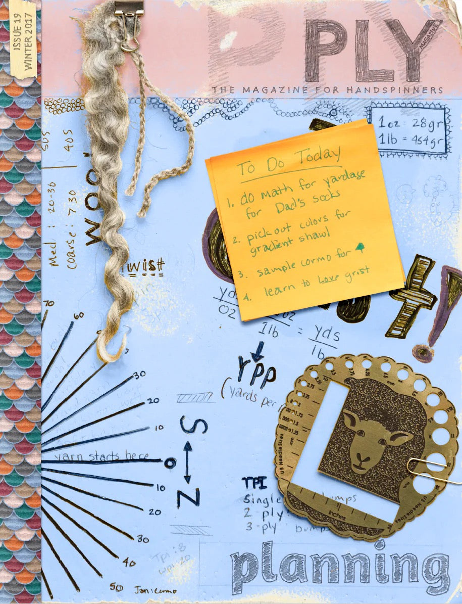 #19 - The Planning Issue, Winter 2017