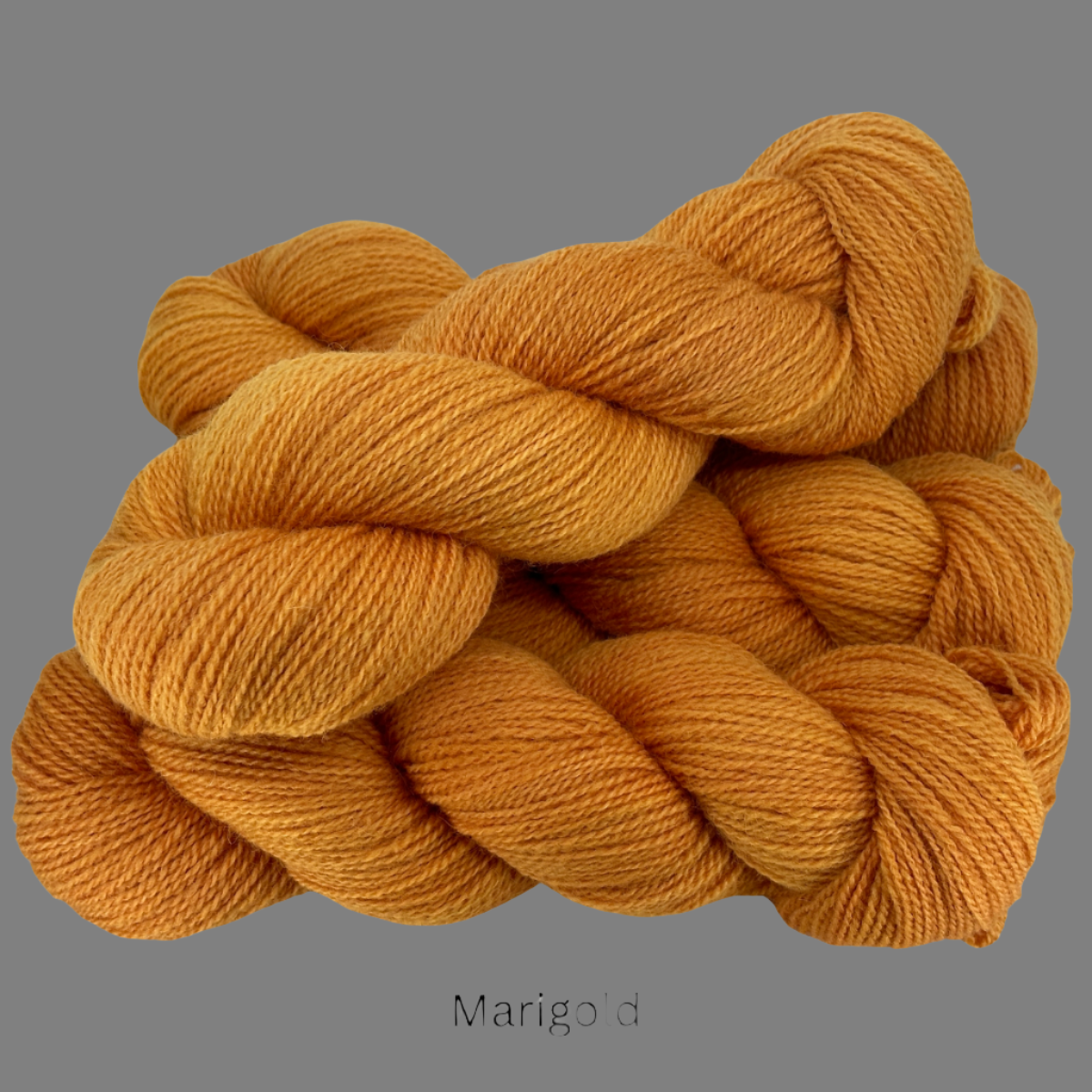 Marigold - Wee Wonder