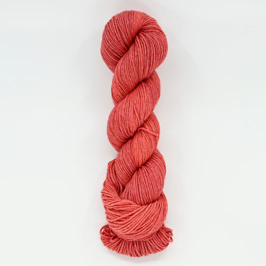 Tomato Paste - Sol DK