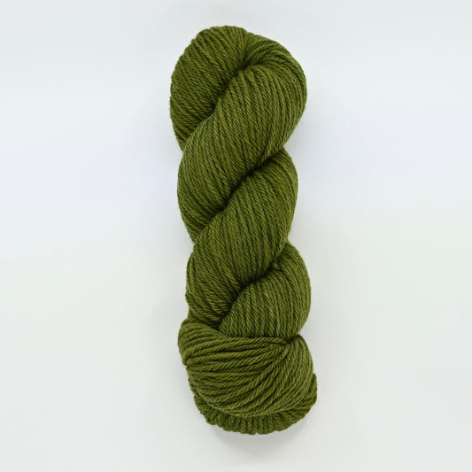Ribbit Rebellion - Caldera Worsted