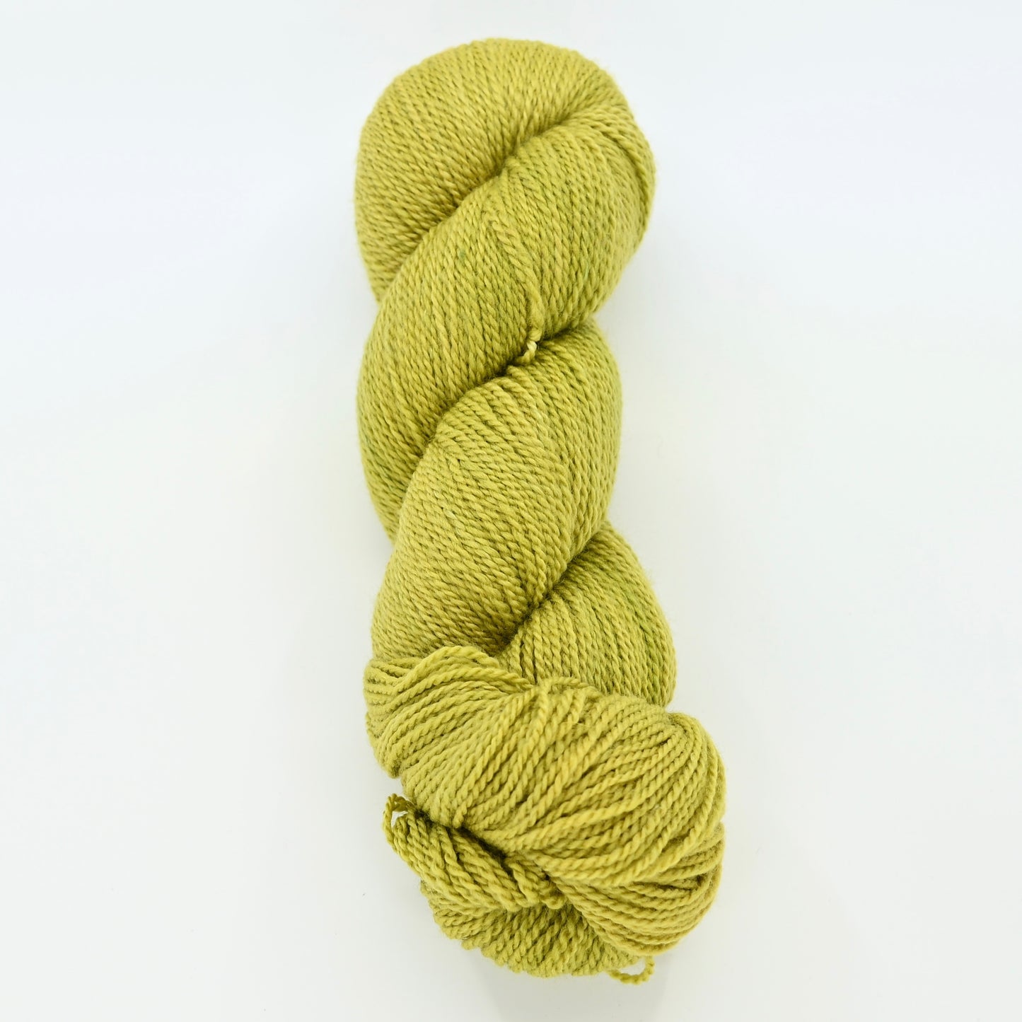 Yucca Bloom - Starlight Sport "OVERTONE"