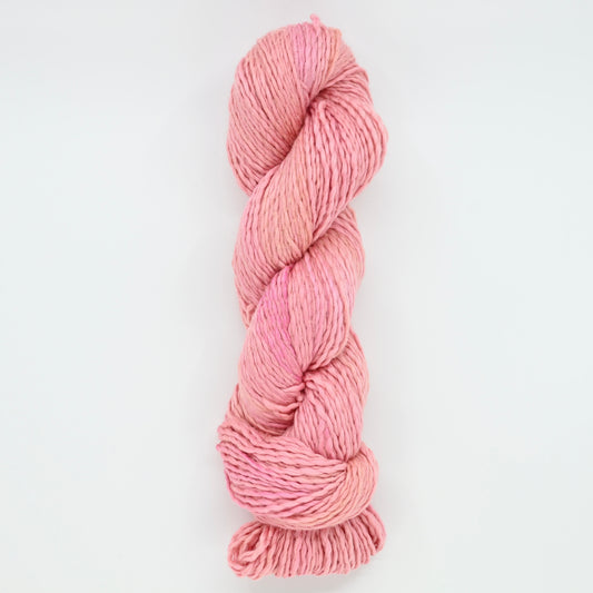Barbie's Lost Slipper - Breezy DK