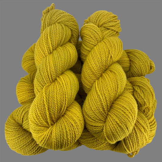 Honey Child - Pilot Butte DK