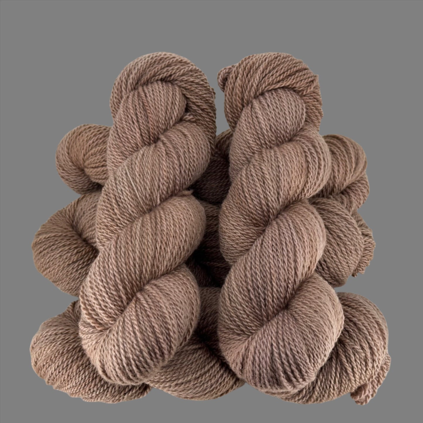 Hazelnut Latte - Pilot Butte DK