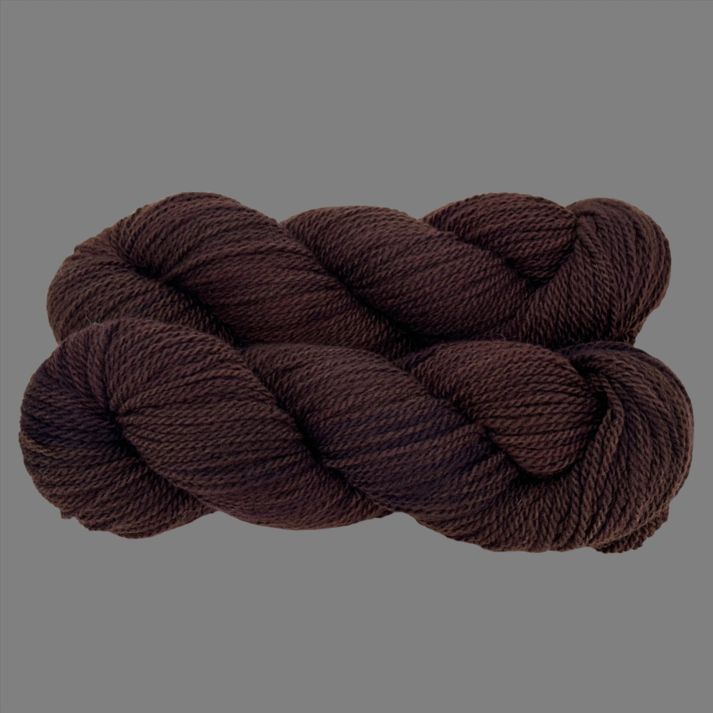 Hot Cocoa - Pilot Butte DK