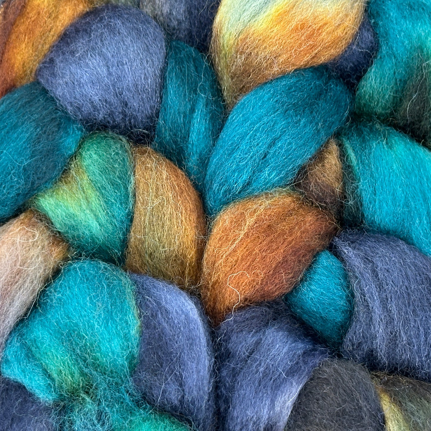 Lounge Lizard - BFL Combed Top