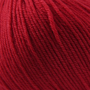 Cascade 220 Superwash Worsted
