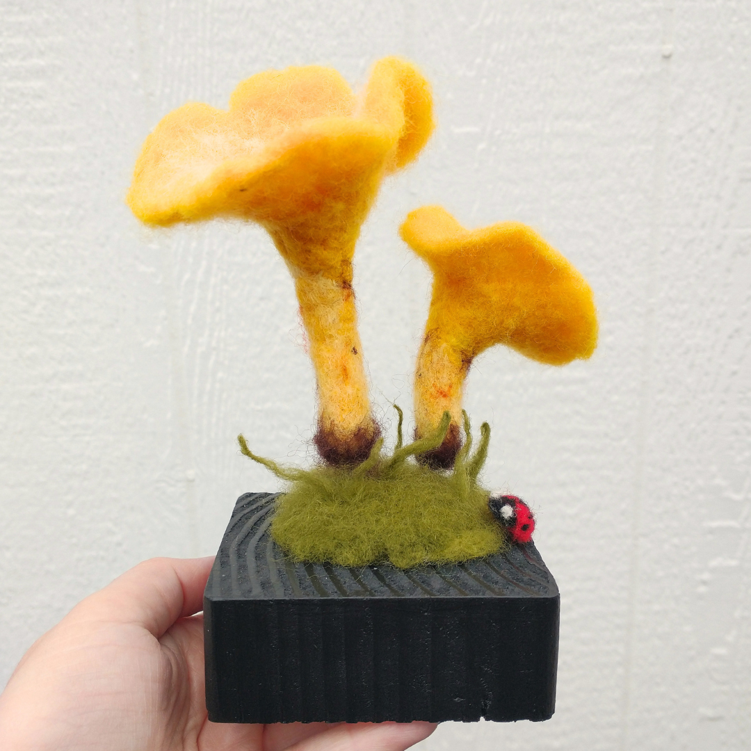 Chanterelle Mushroom Sculpture - Needle Felting 8/15