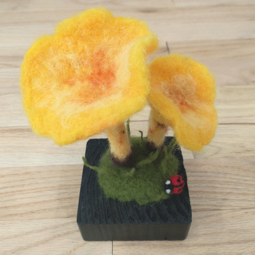 Chanterelle Mushroom Sculpture - Needle Felting 8/15
