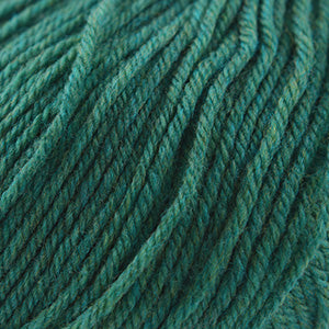 Cascade 220 Superwash Worsted