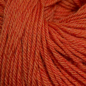 Cascade 220 Superwash Worsted