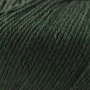 Cascade 220 Superwash Worsted